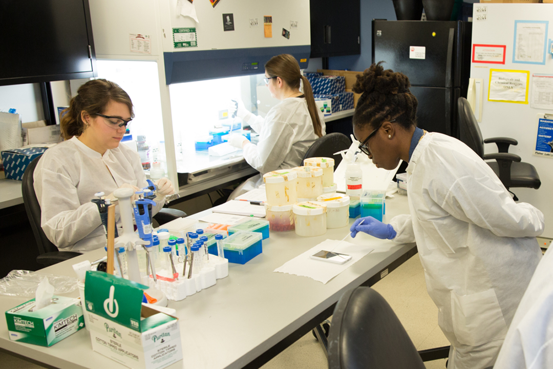 Three women working in a chemistry lab