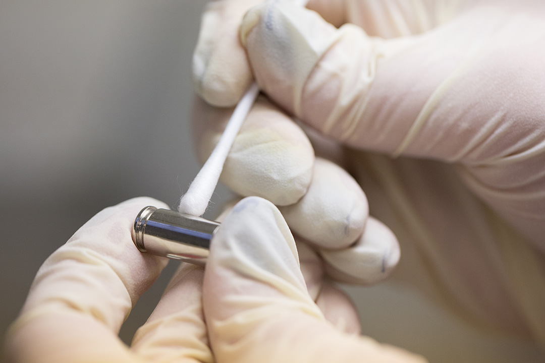 A gloved hand holding a cotton swab and dusting a bullet casing