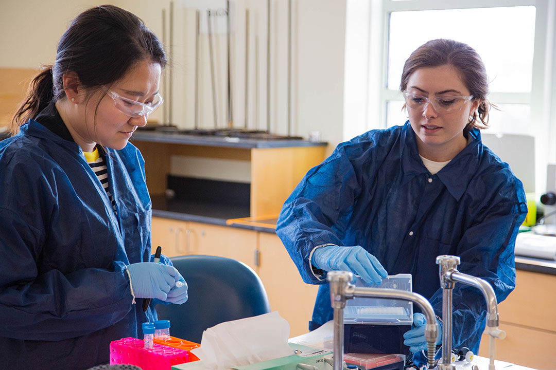 2 students working together
